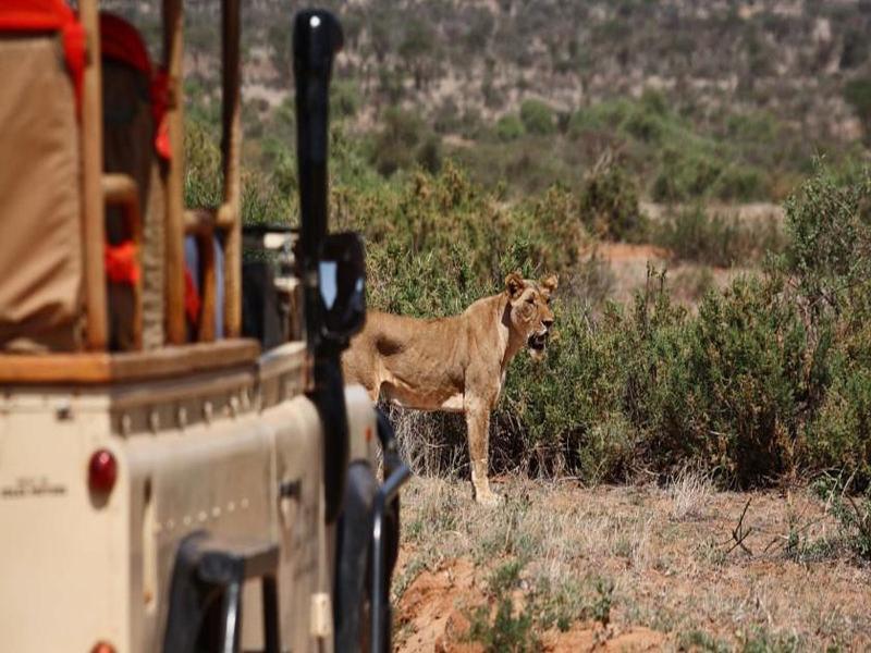 Saruni Samburu Villa ภายนอก รูปภาพ